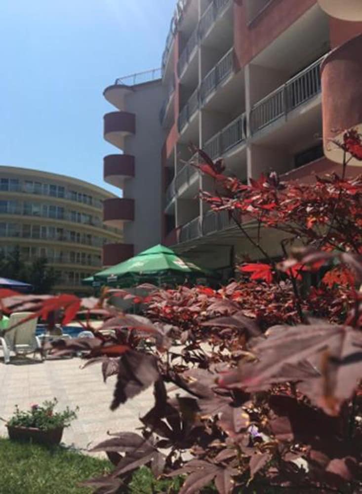 Фото Андромеда