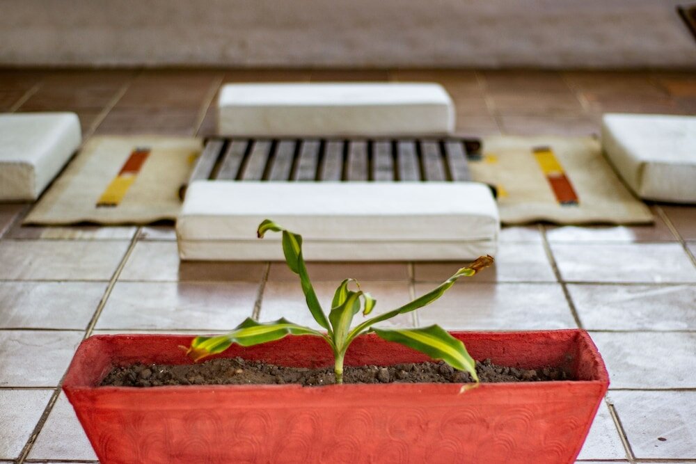 Фото Gato do Mato Hostel & KitePoint