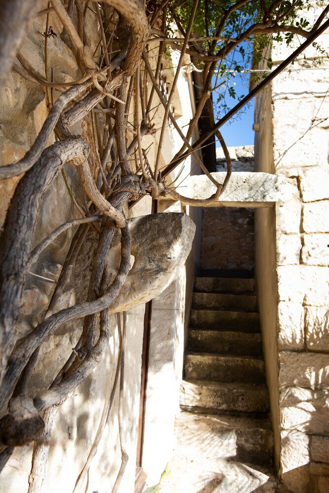 Фото IzzHome Country