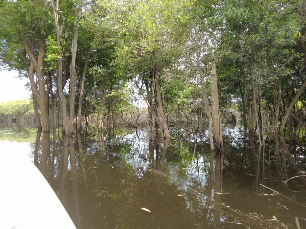 Фото Amazon Boto Lodge