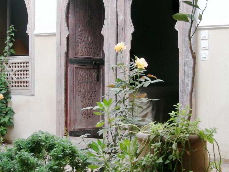 Фото Riad Hadika Maria