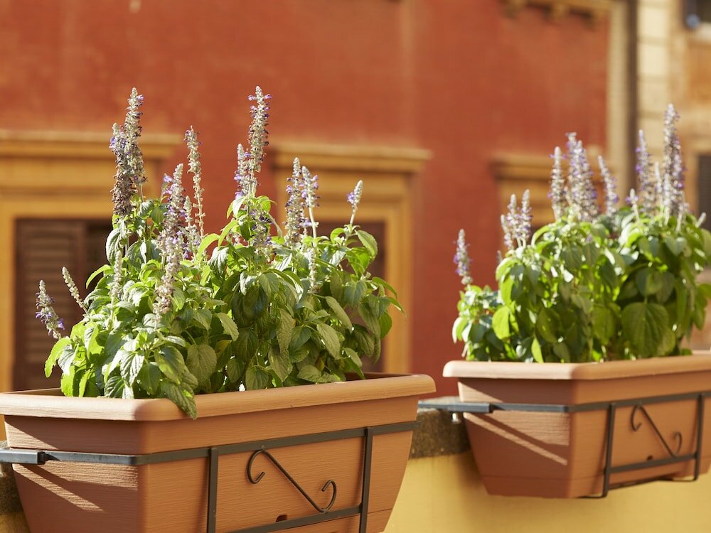 Фото Ripagrande a Trastevere Guest House