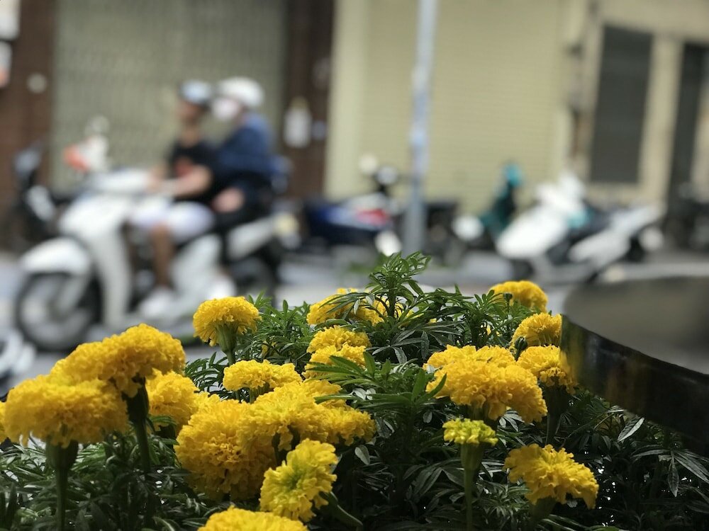 Фото Stelward Prima Hotel