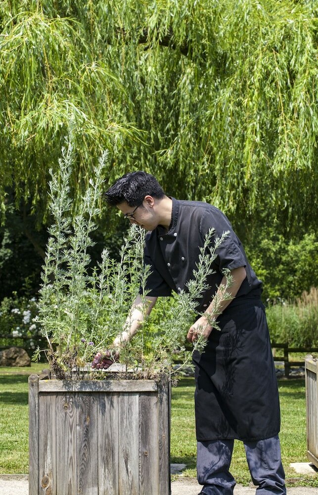 Фото Sure Hotel by Best Western Lille Tourcoing Ex Hotel Garden