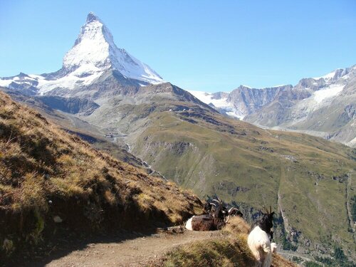 Внешний вид отеля Phoenix в Церматте, фото 5