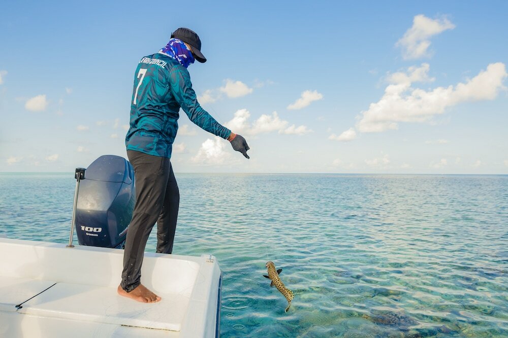 Фото Gaafaru View Inn