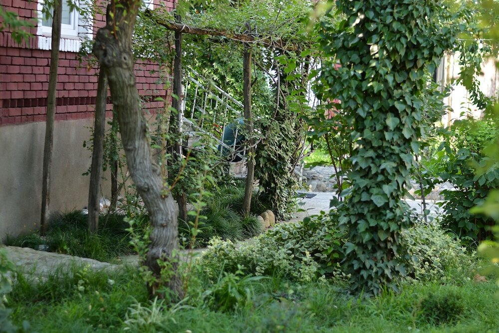 Фото Book Hotel • წიგნების სასტუმრო