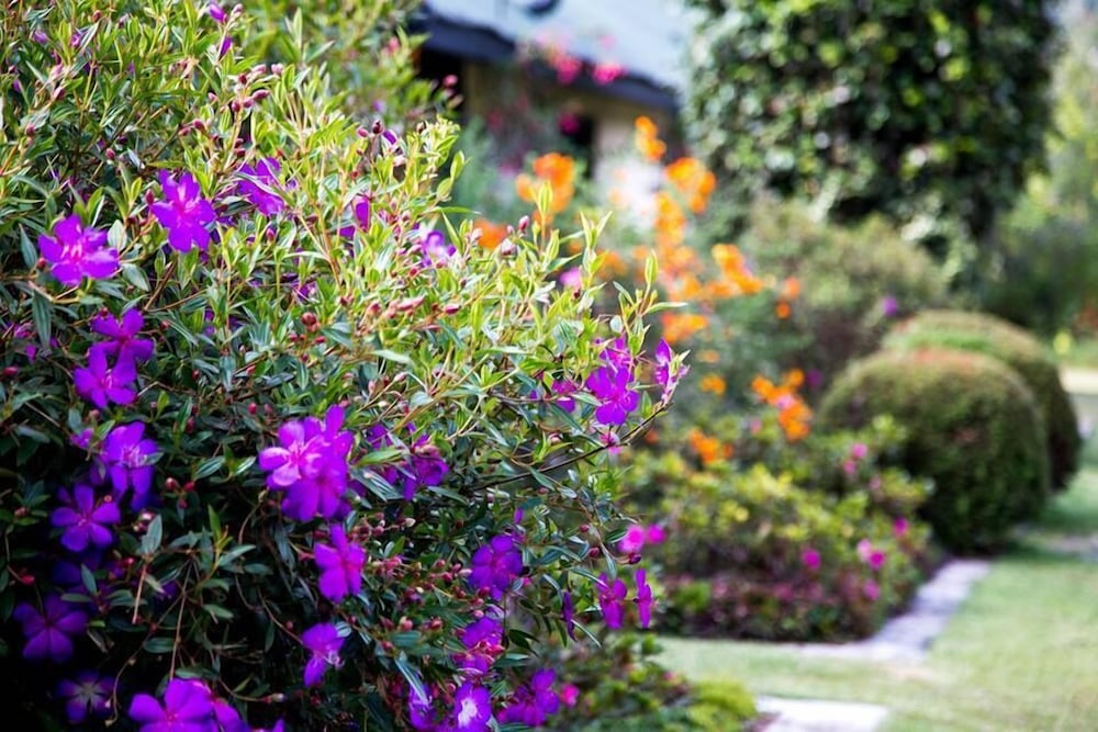 Фото Ferncliff Bungalow