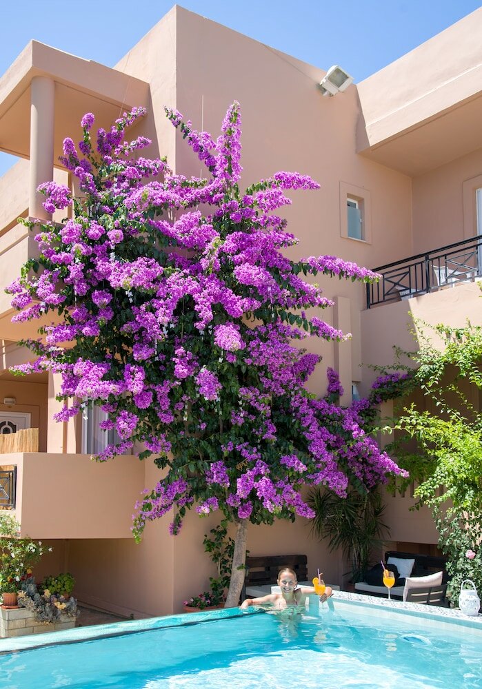 Фото Solon Apartments