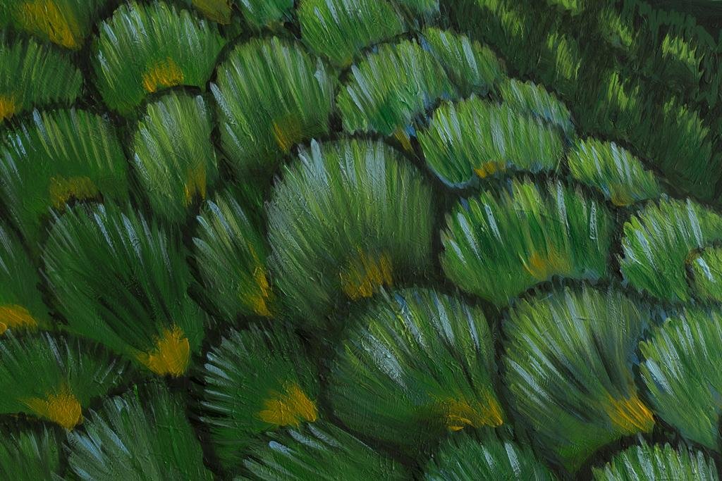 Фото Residenze Argileto