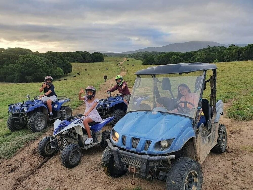 Фото Kur Cow farm