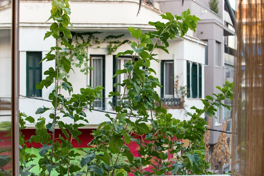 Фото Blue Ark Acropolis Spirit