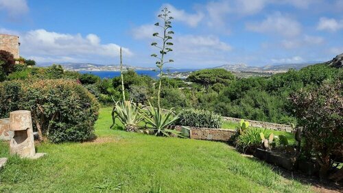 Апартаменты Porto Rafael Apartments - Ginestra 2a