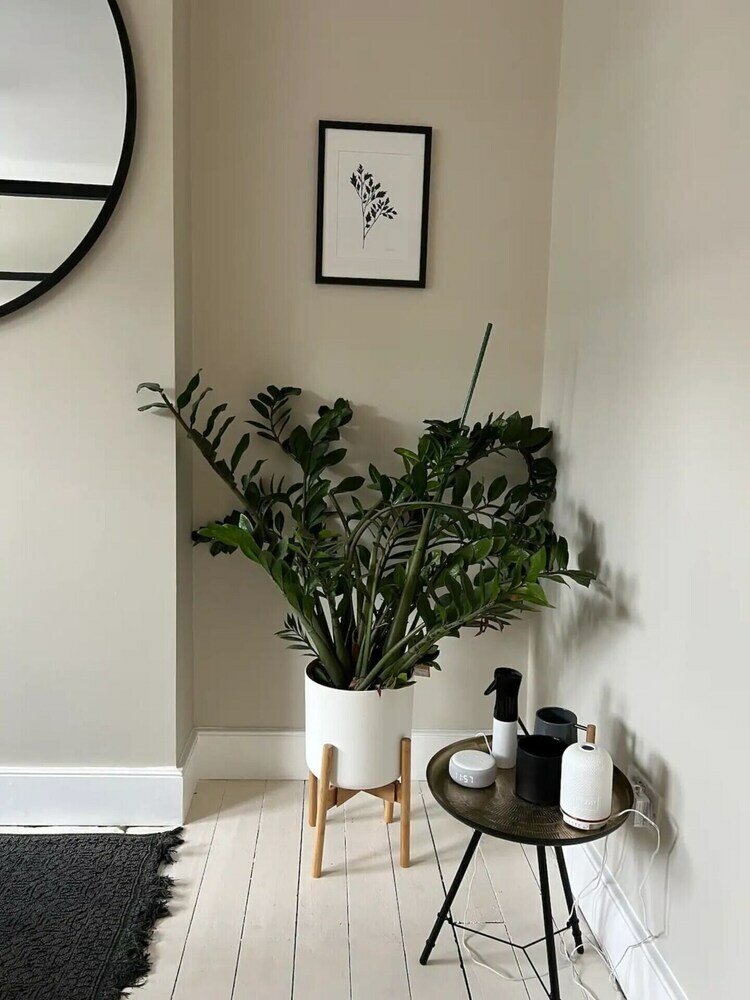 Фото Gorgeous 3 Bedroom Home in Quaint Southfields