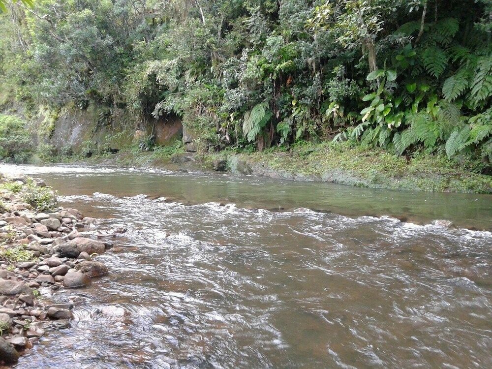 Фото Tiny House Garden - Praia Grande - Sc