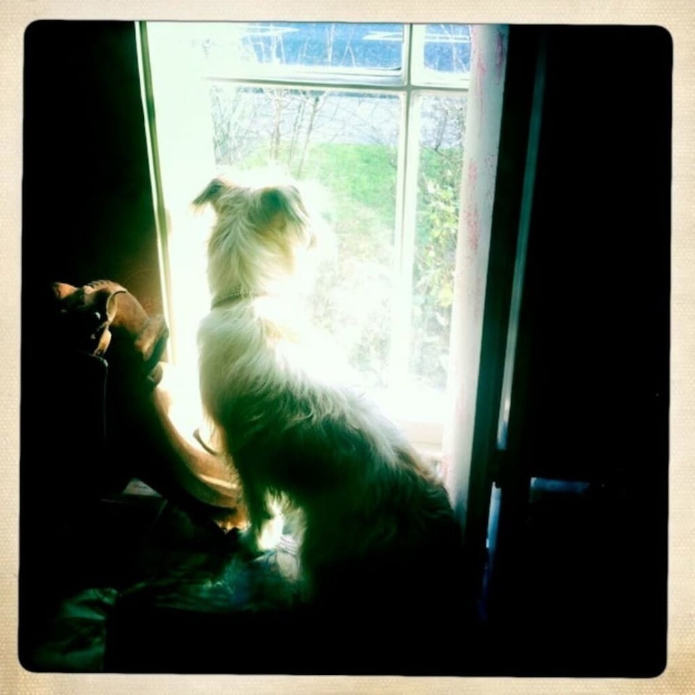 Фото Boutique Bijoux Garden Flat in Vibrant Oval