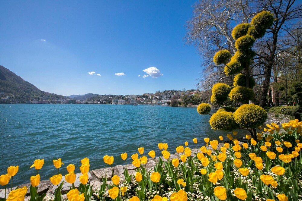 Фото Rebecca Garden