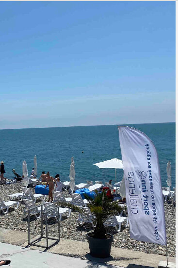 Фото Джунгли у моря