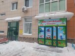 Baby care Astana (Dinmukhamed Kunayev Street, 35) ، مركز الرعاية النهارية، رياض الأطفال
