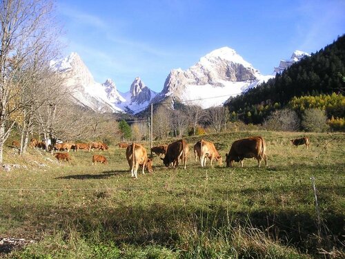Гостиница L'Acacia в Ди