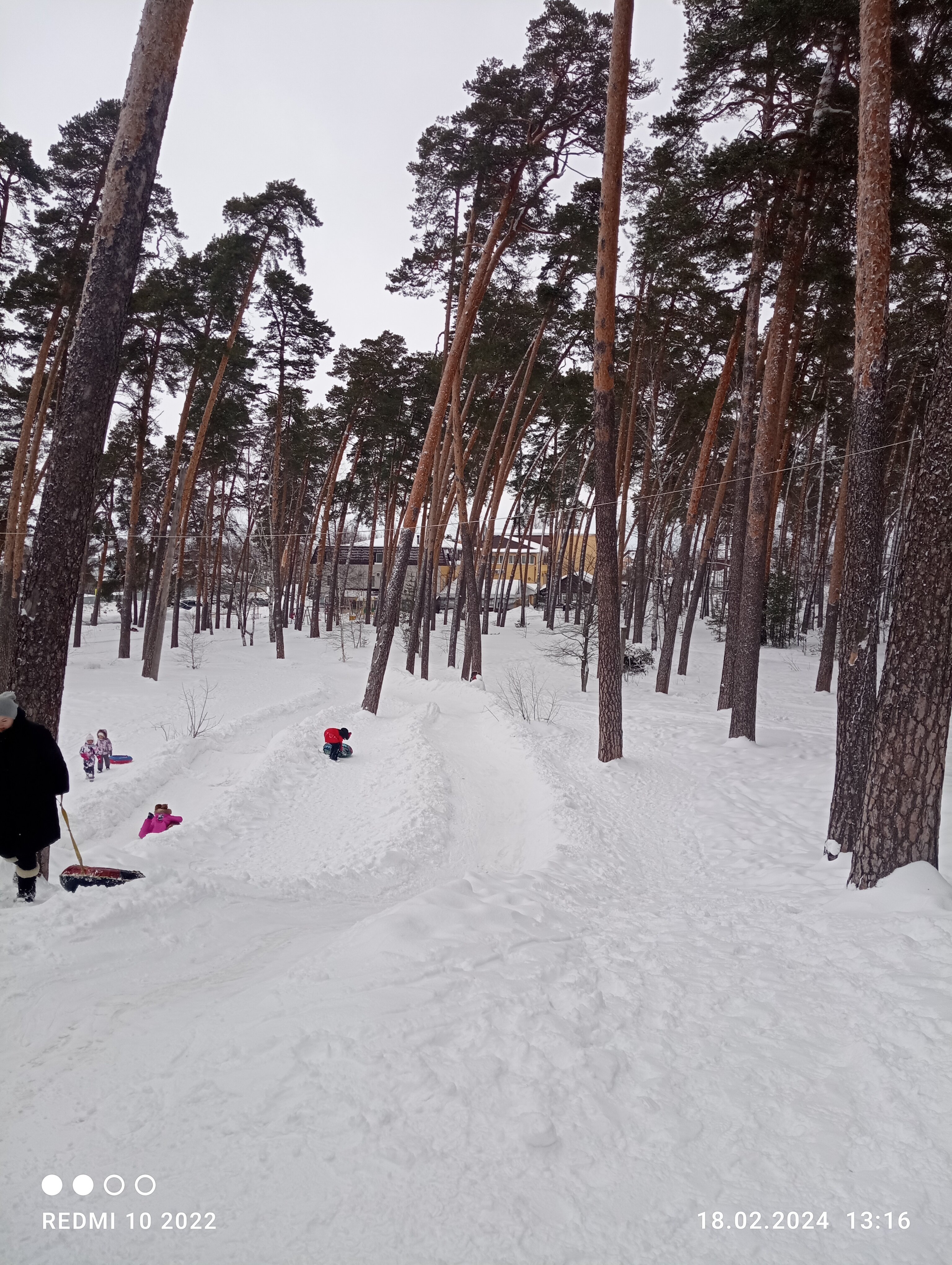 Фото Боровница