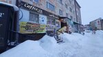 Coffee-in (ulitsa Dzerzhinskogo, 21), tea shop