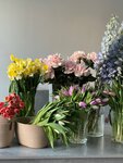 Monshèri (ulitsa Bratyev Kadomtsevykh, 4), flower shop