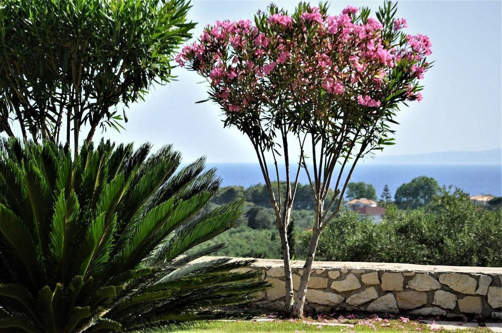 Фото Villa Belvedere Zakynthos