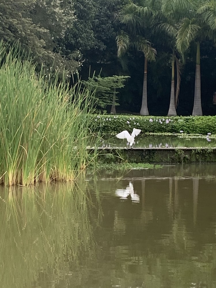 Фото Rancho Agua Salada
