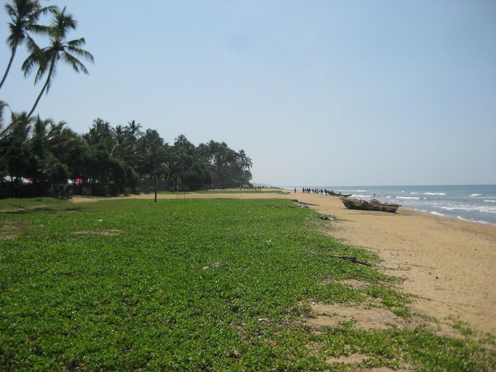 Фото Capital O 132 Blue Spring Hotel