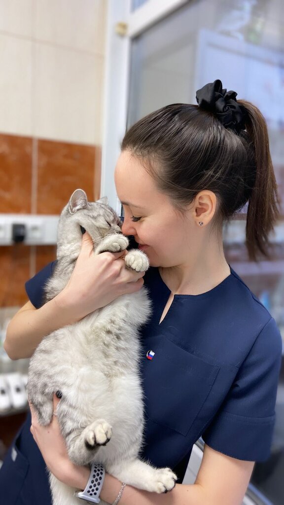 Veterinary clinic Кот Да Винчи, Novorossiysk, photo