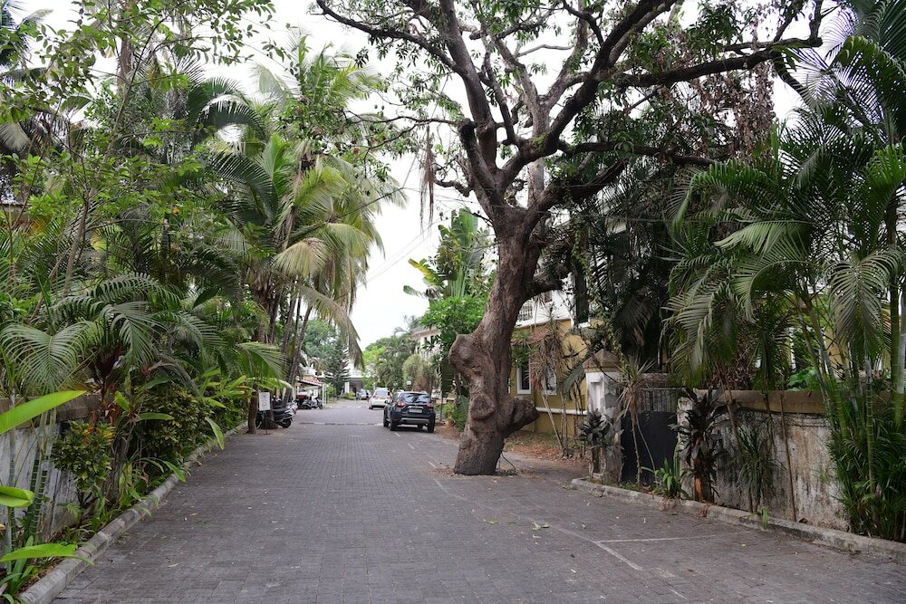 Фото White Square Nirvana, Parra