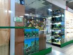 Magazin Akvariumist (Gorkogo Street, 55), aquariums