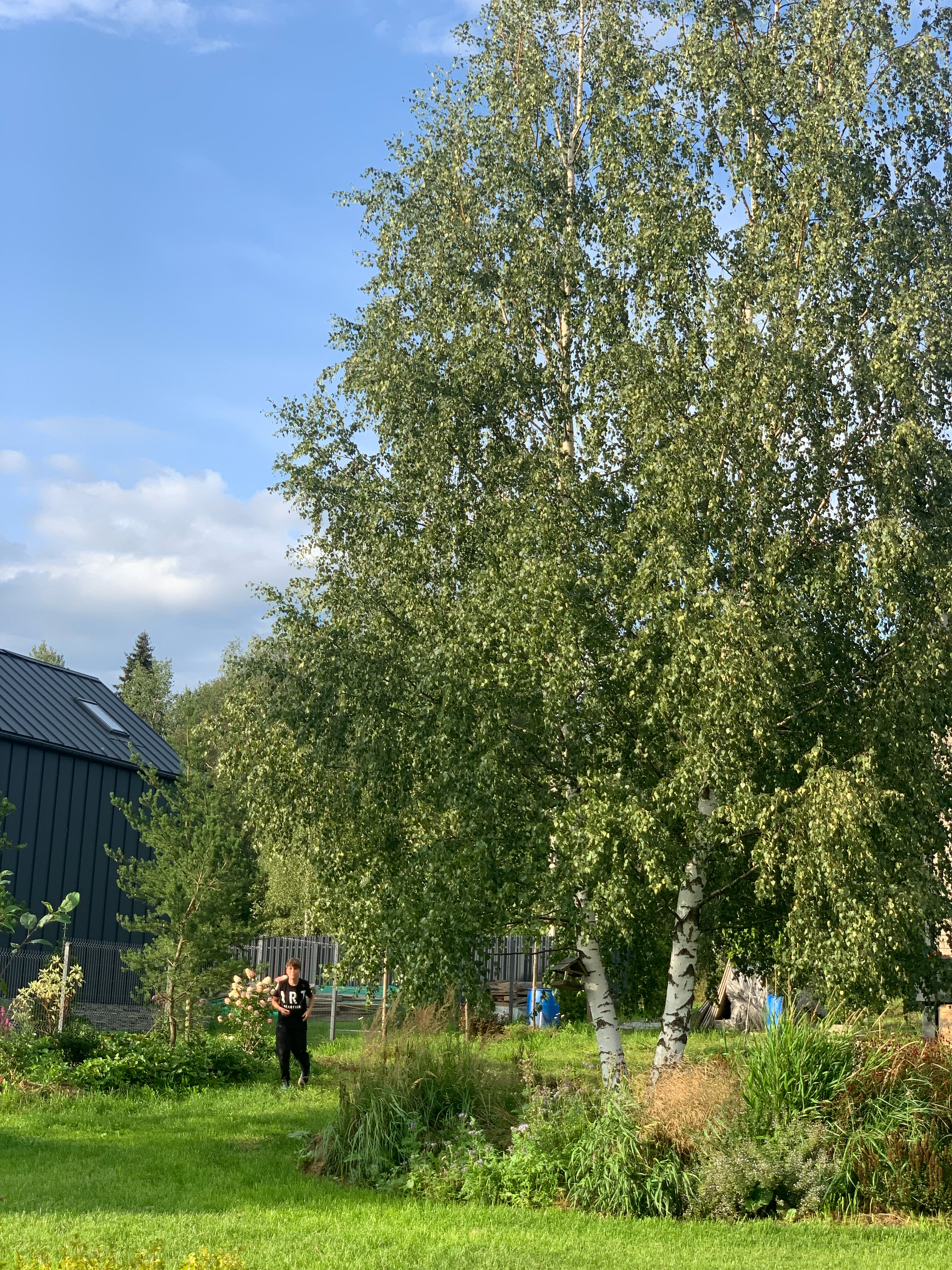 Фото Прованс