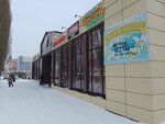 Чебаркульская птица (ulitsa Lenina, 48А) ، متجر جزارة، ديلي