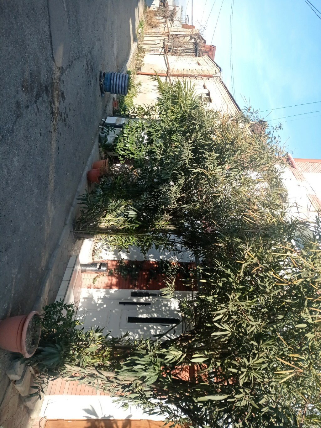 Фото Hotel Isaka