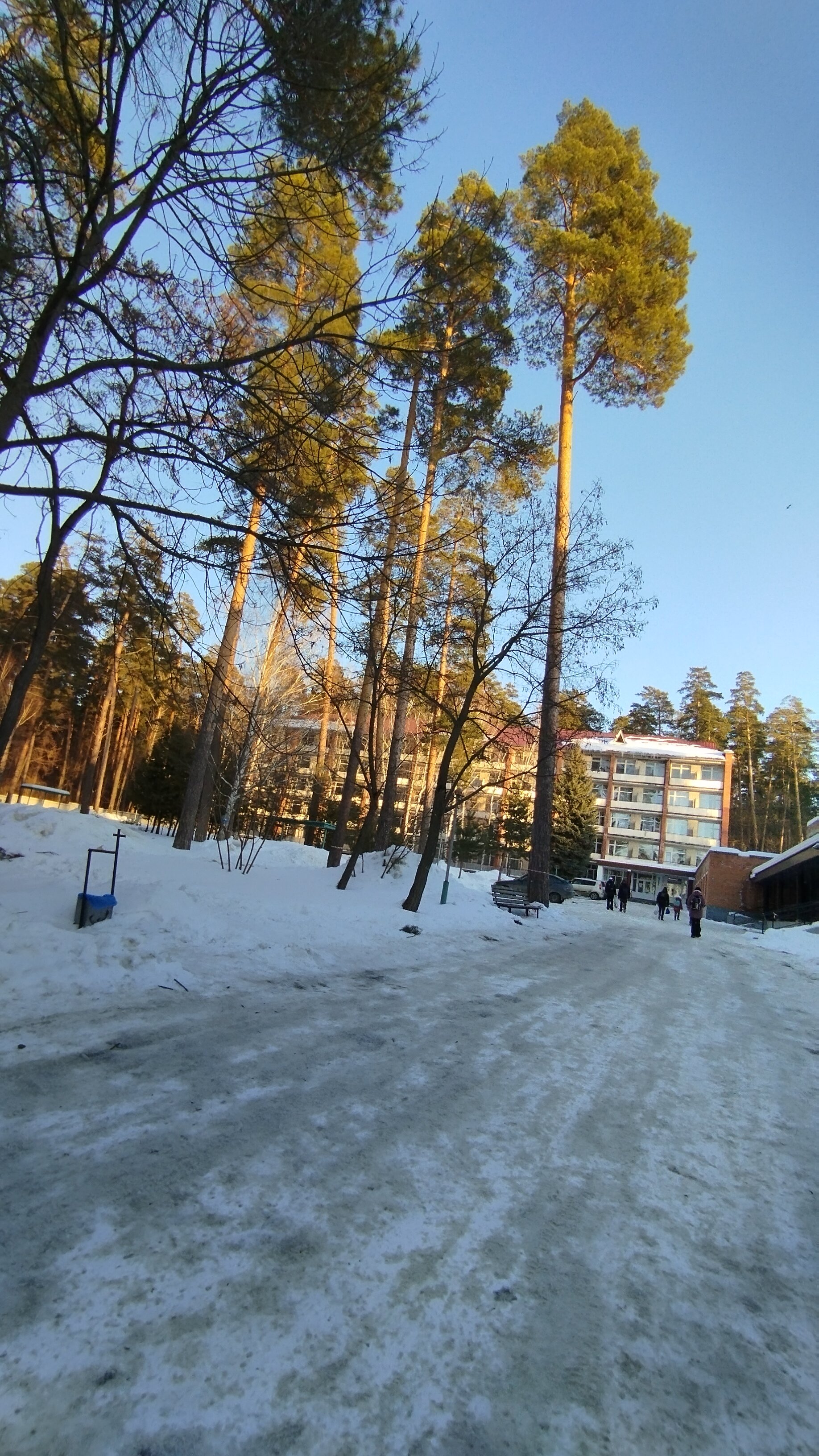 Фото ПроЛес