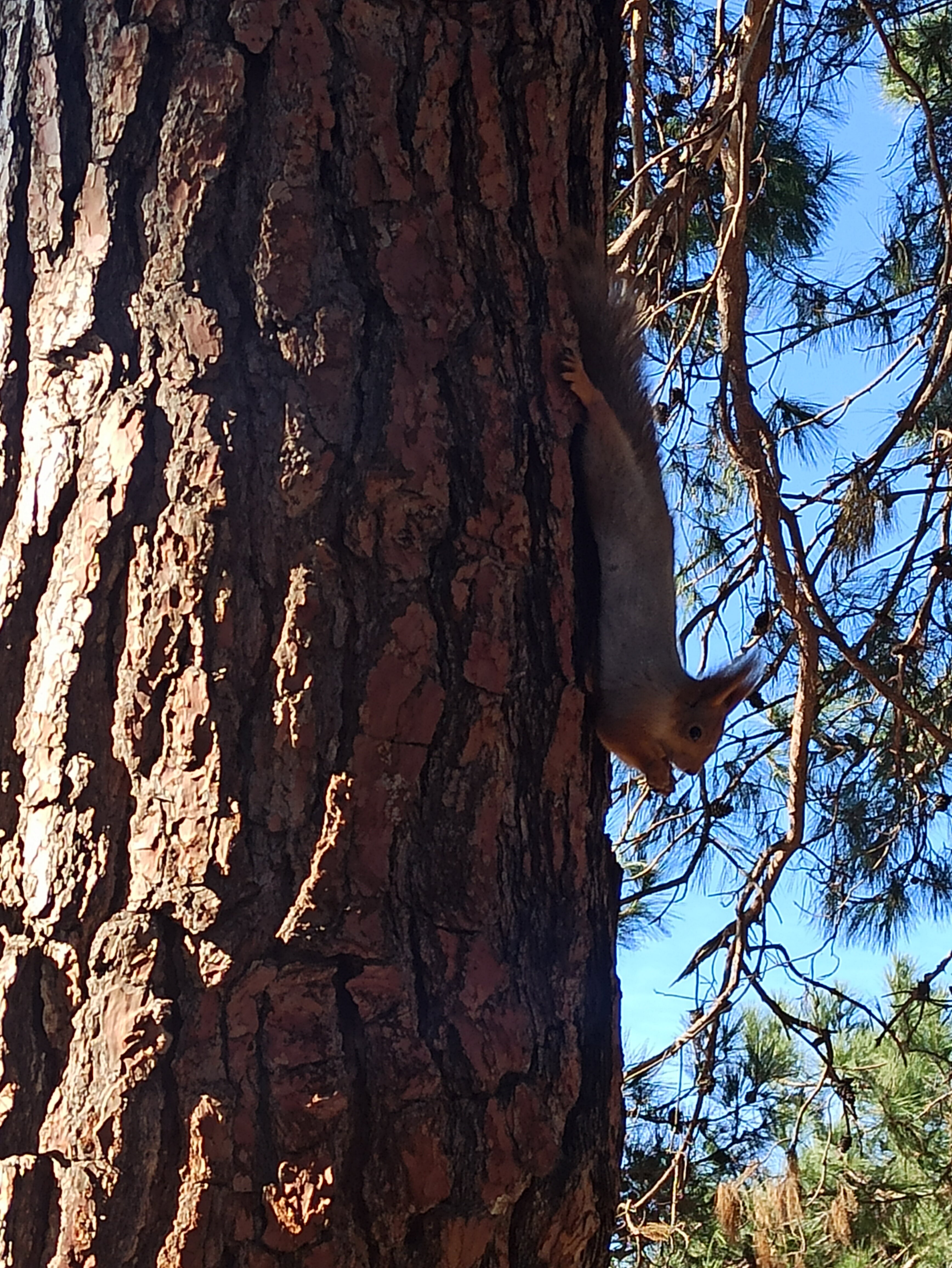 Фото Людмила