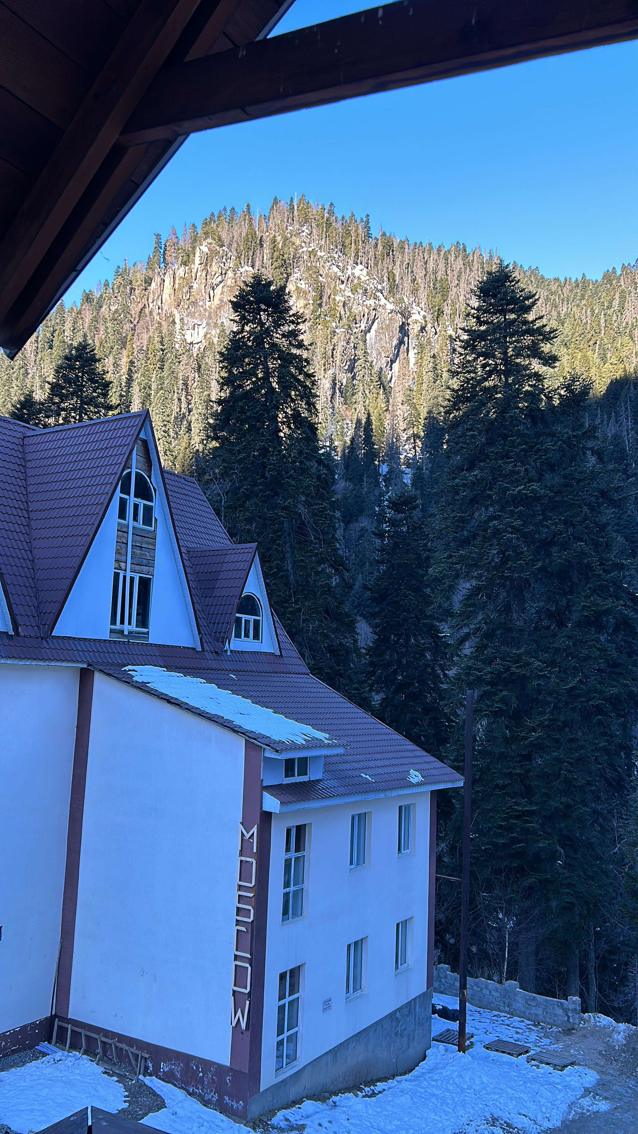 Фото Дубки Snow Point