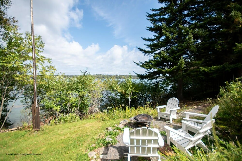 Фото Puffin Rock - New 2022!