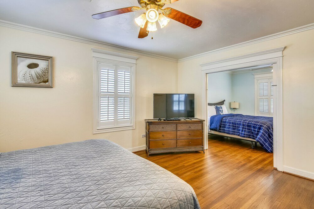 Фото The Turquoise Turtle