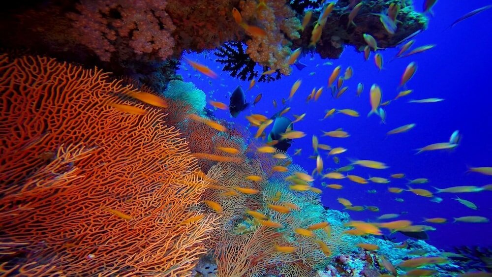 Фото Club Kaafu Dhiffushi