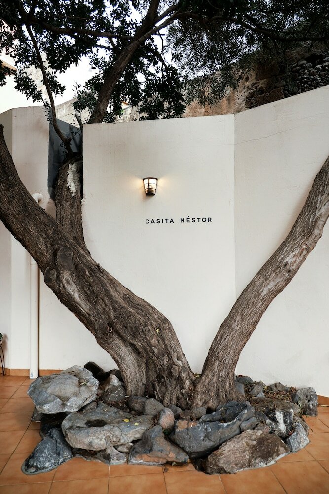 Фото Вилла Nestor