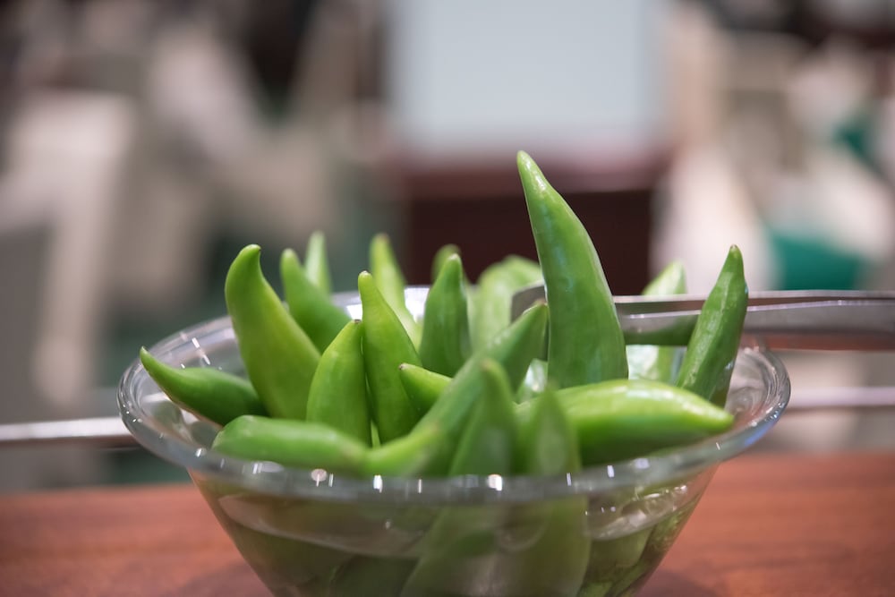 Фото Hotel Bellevue Ski & Relax