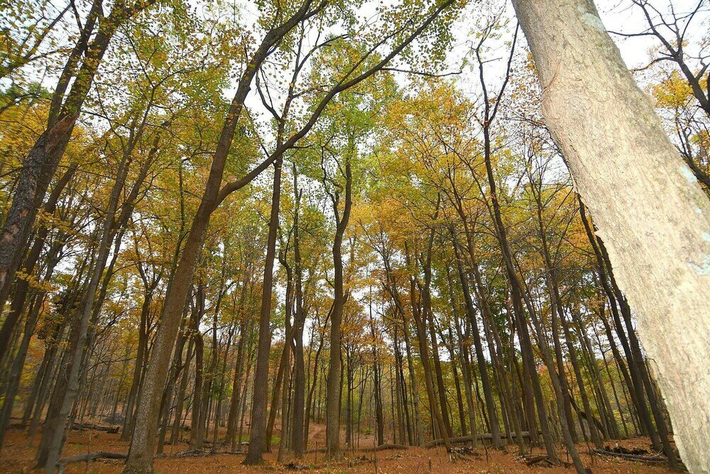 Фото A Serenity Station - A Serene Experience