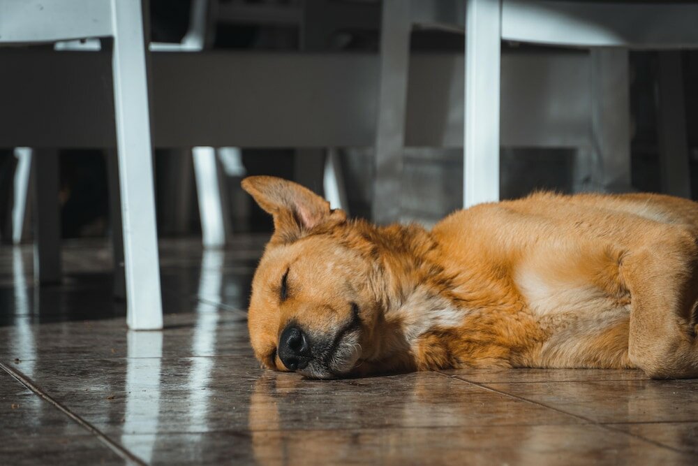 Фото Lord Byron Guesthouse