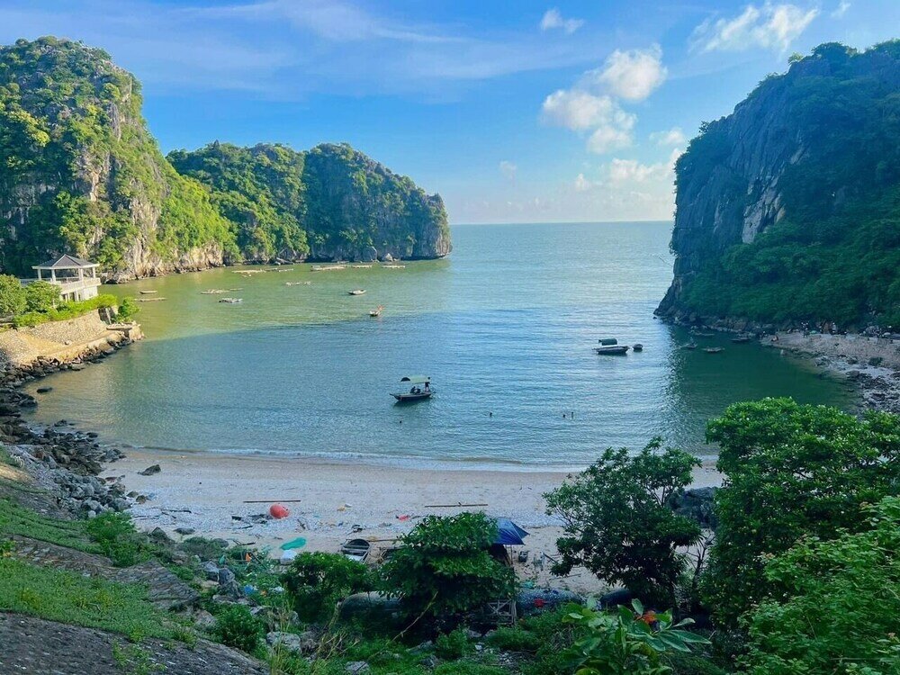 Фото Tropical Retreat Homestay