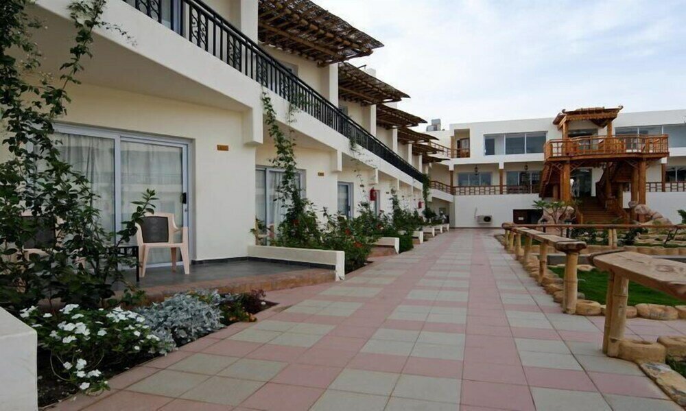 Фото Панда Дахаб резорт