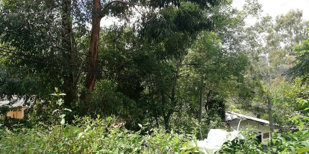 Фото Ella Forest Eco View