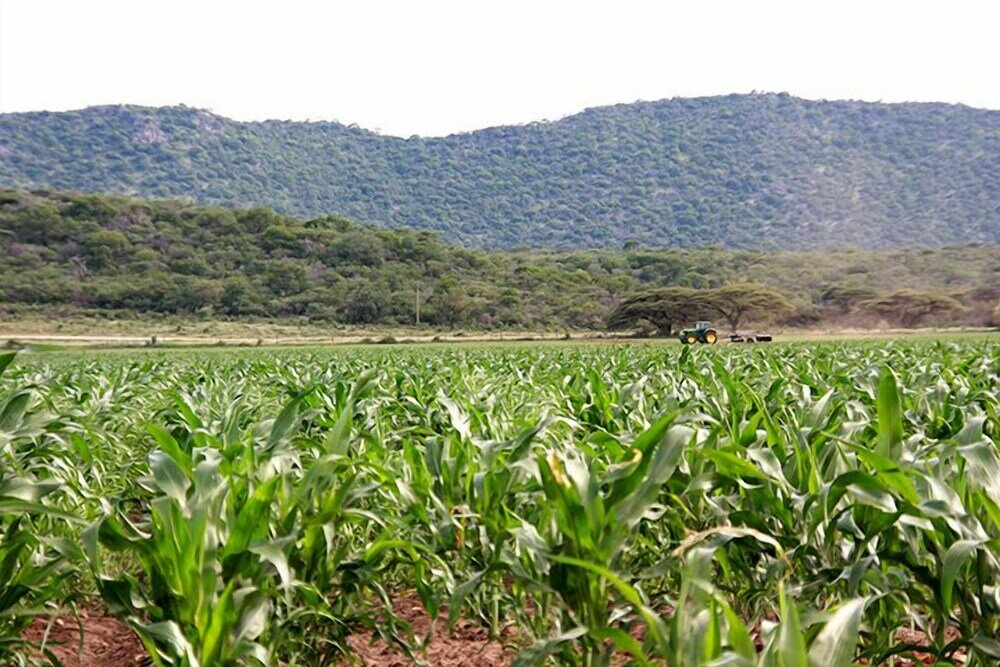 Фото Ghaub Nature Reserve & Farm